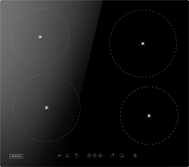 Induktionsfeld Reparatur Malchin